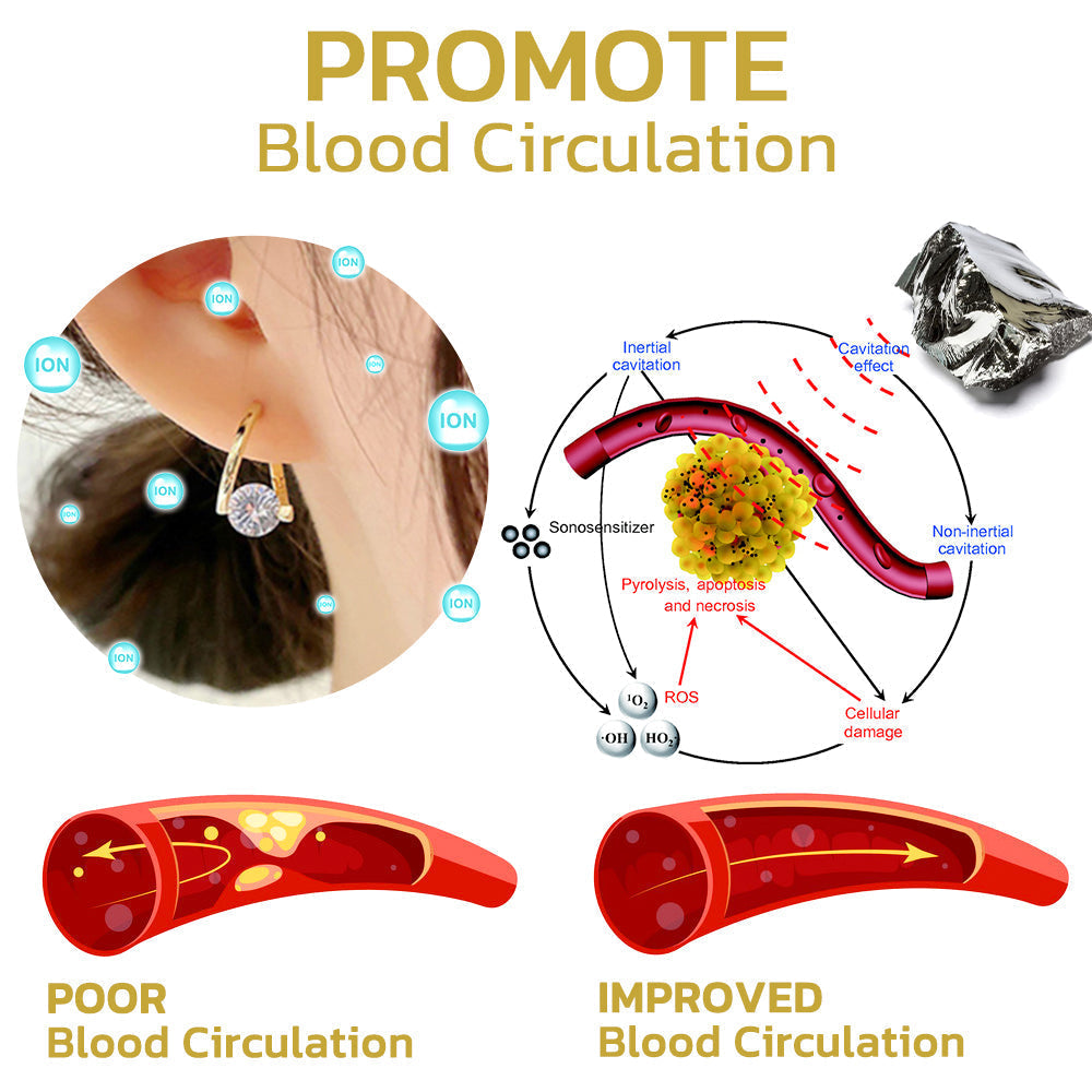 🔥LAST DAY SALE-80% OFF)Histone Lymphvity MagneTherapy CZ Earrings