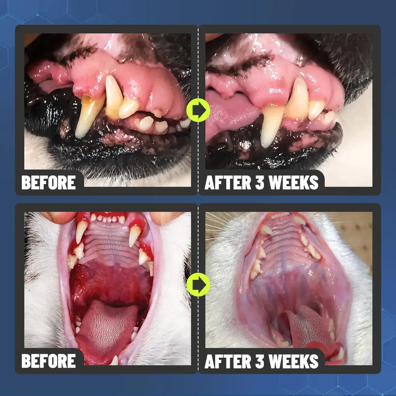 FOMONEST™ Dental Spray – Stop Bad Breath & Tartar at the Source