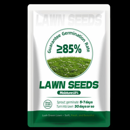 🌱🌱🌱 2026 Four Seasons Evergreen Grass Seed | Durable, Vibrant Green All Year