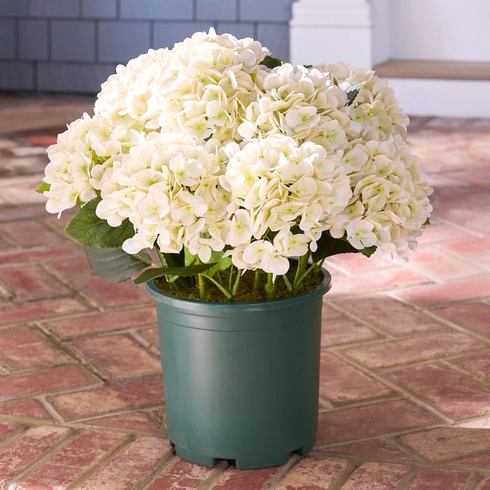 💥Last Day 75% OFF💐Artificial Outdoor Hydrangea Flowers - UV resistant, Waterproof, Windproof