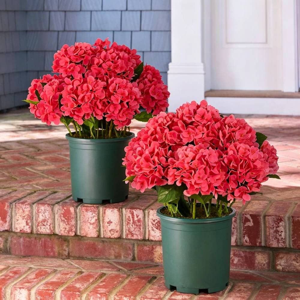 💥Last Day 75% OFF💐Artificial Outdoor Hydrangea Flowers - UV resistant, Waterproof, Windproof