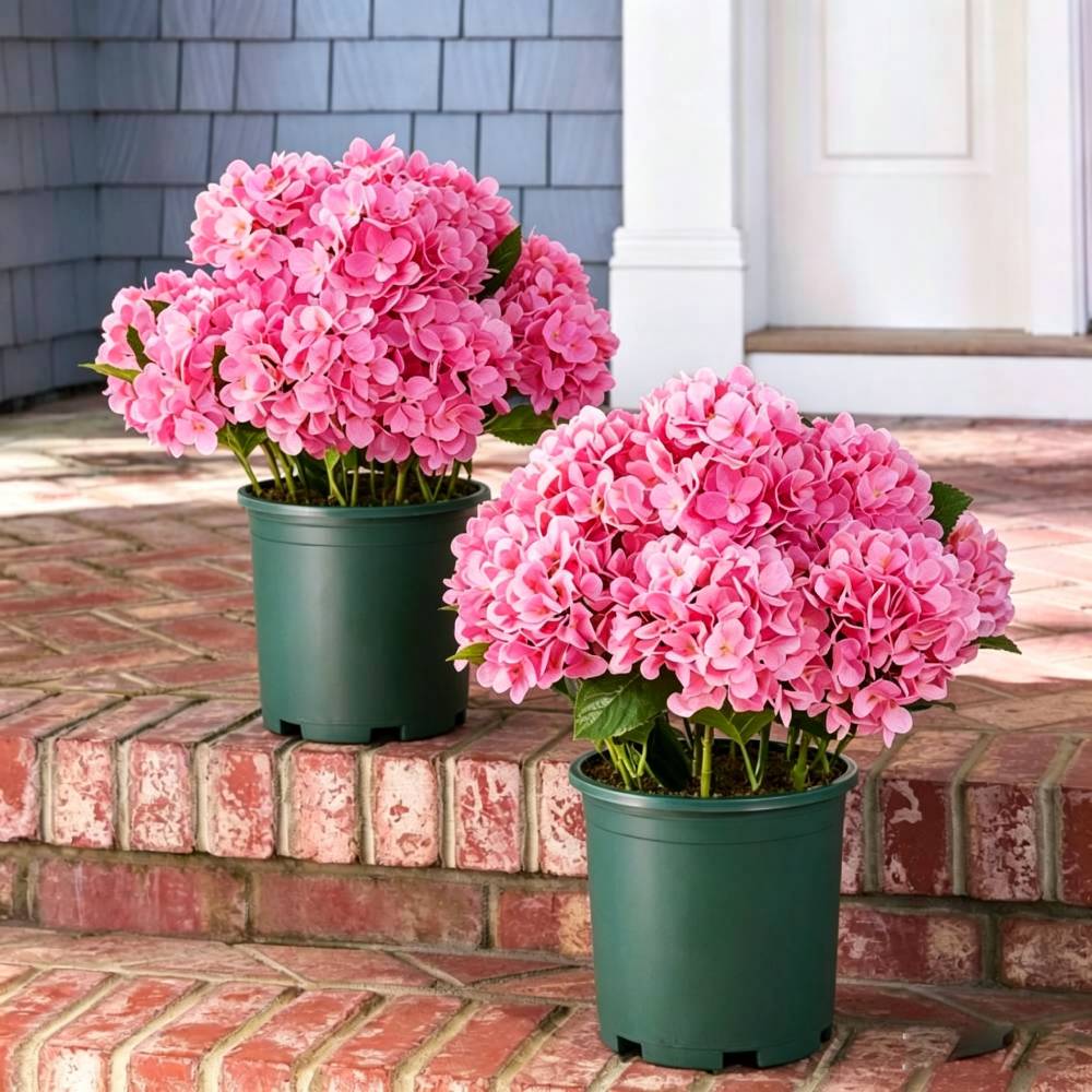 💥Last Day 75% OFF💐Artificial Outdoor Hydrangea Flowers - UV resistant, Waterproof, Windproof