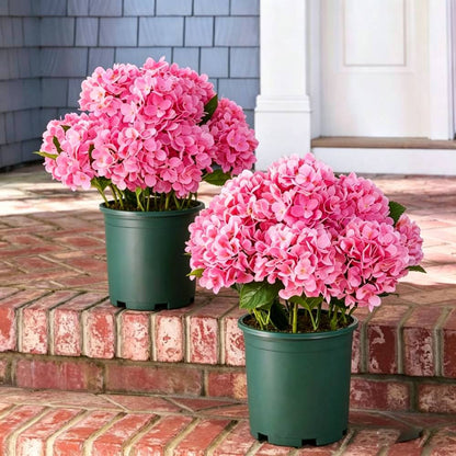 💥Last Day 75% OFF💐Artificial Outdoor Hydrangea Flowers - UV resistant, Waterproof, Windproof