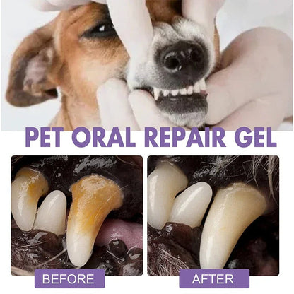 FOMONEST®  Dental Pet: Pet Dental Repair & Cleaning Gel 🐶🐱 LAST DAY • FINAL CLEARANCE SALE