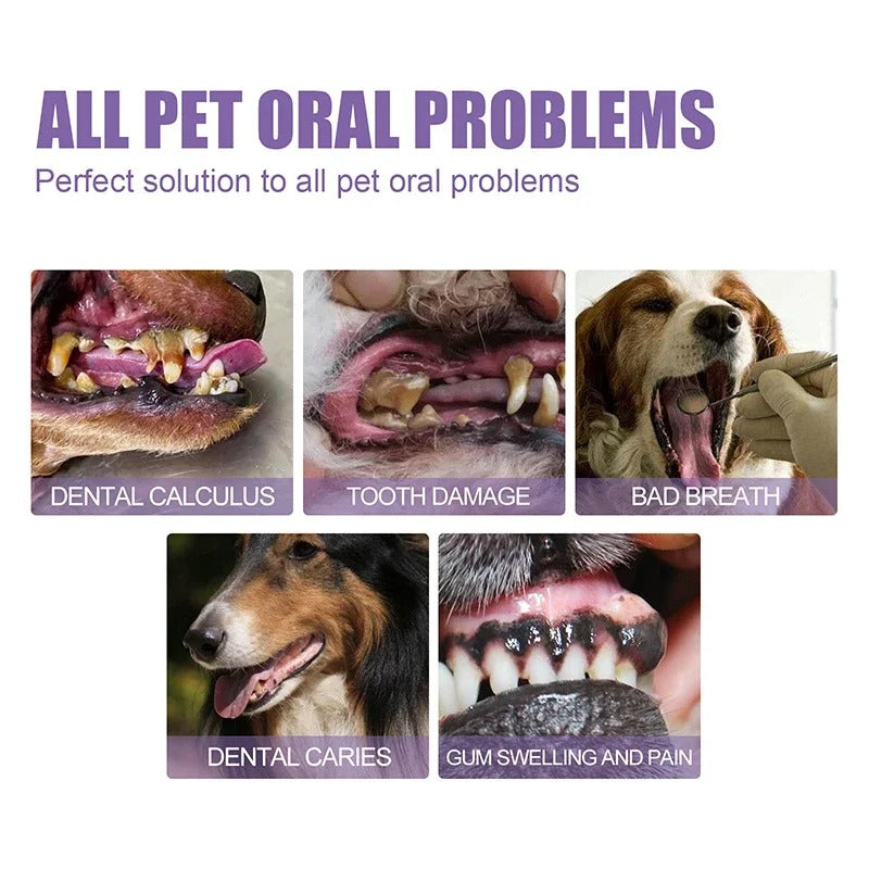 FOMONEST®  Dental Pet: Pet Dental Repair & Cleaning Gel 🐶🐱 LAST DAY • FINAL CLEARANCE SALE