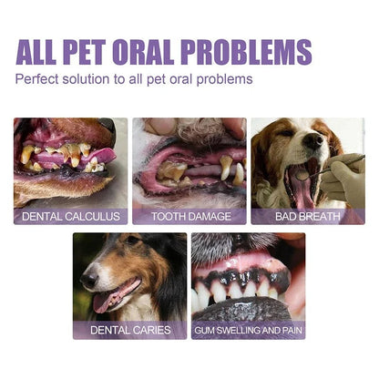 FOMONEST®  Dental Pet: Pet Dental Repair & Cleaning Gel 🐶🐱 LAST DAY • FINAL CLEARANCE SALE