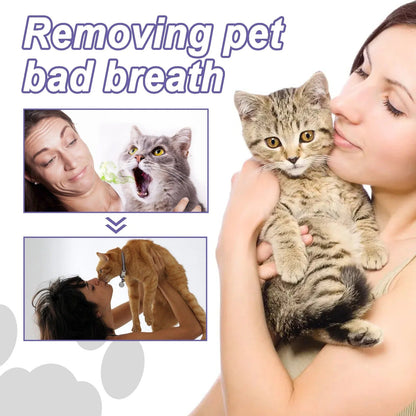 FOMONEST®  Dental Pet: Pet Dental Repair & Cleaning Gel 🐶🐱 LAST DAY • FINAL CLEARANCE SALE