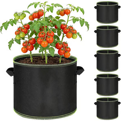 Buy 1(5-Pack)