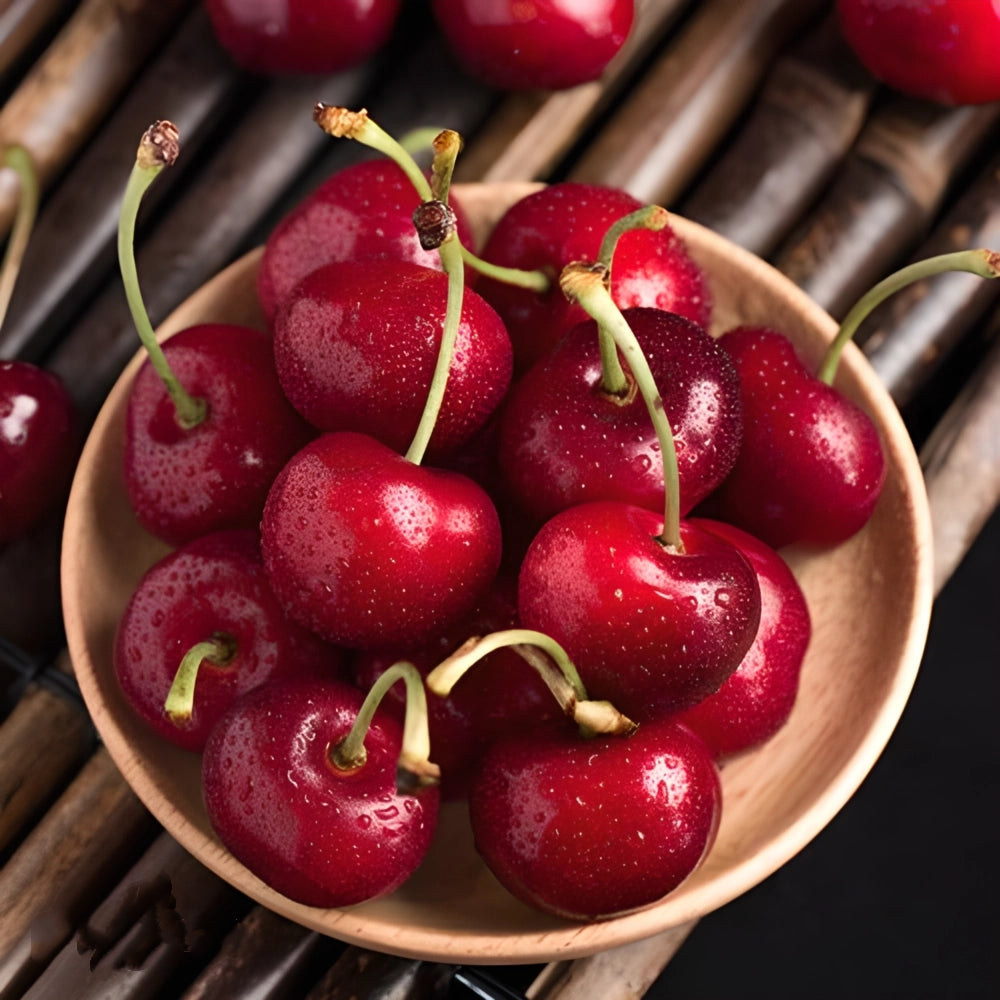 ⚠️Last day for an 85% discount!🍒 I planted this tree once… now I harvest up to 50 lbs every summer