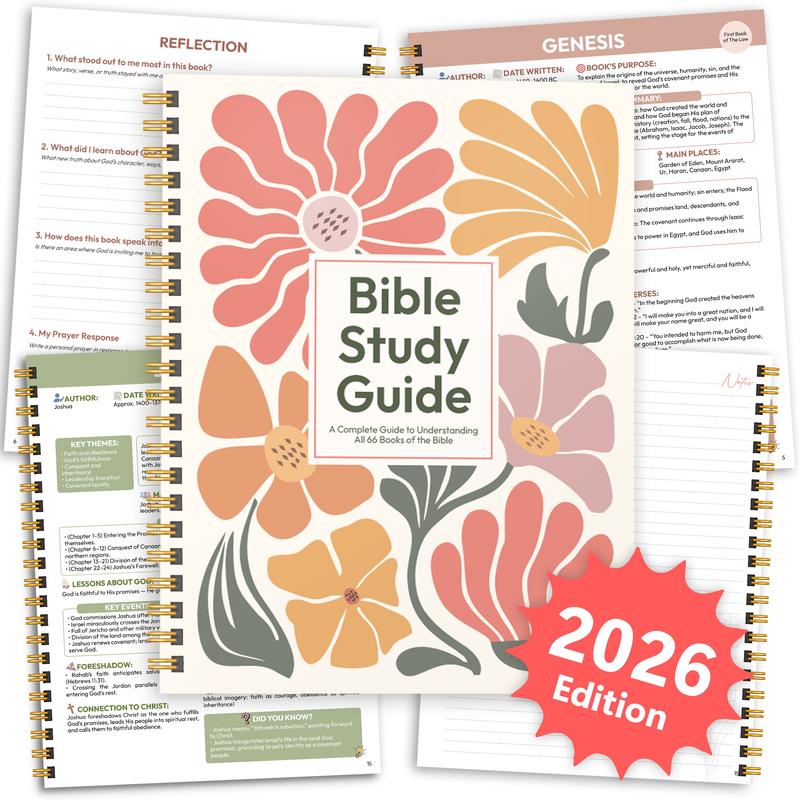 Beginner-Friendly Bible Study