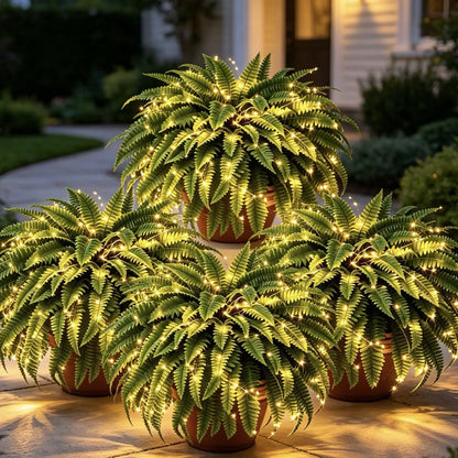 💛Glowing Boston Ferns with Lights – 🌿 Zero Watering, Zero Maintenance