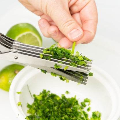 🔥 Today Only🎁5 Blade Kitchen Salad Scissors+ FREE Cleaning Comb