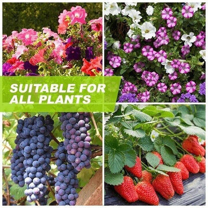 🍀Magic Hydroponic liquid fertilizer🌱