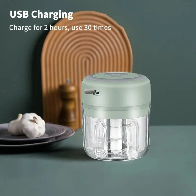 Kitchen Use Mini Electric Garlic Chopper