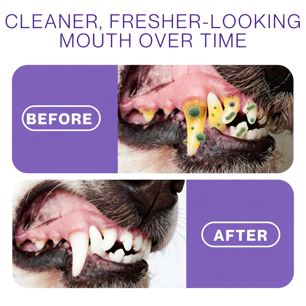 ⏰75% OFF ends soon! Fomonest® Pet Oral Spray ✅ Freshen Breath, Remove Tartar & Prom gum regeneration, stabilize teeth 🦷-$AC