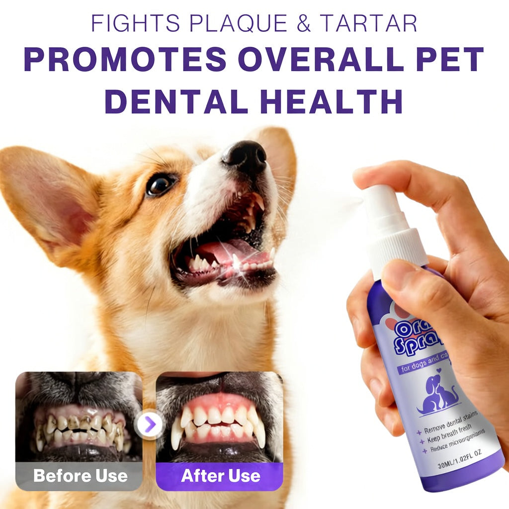 ⏰75% OFF ends soon! Fomonest® Pet Oral Spray ✅ Freshen Breath, Remove Tartar & Prom gum regeneration, stabilize teeth 🦷-$AC