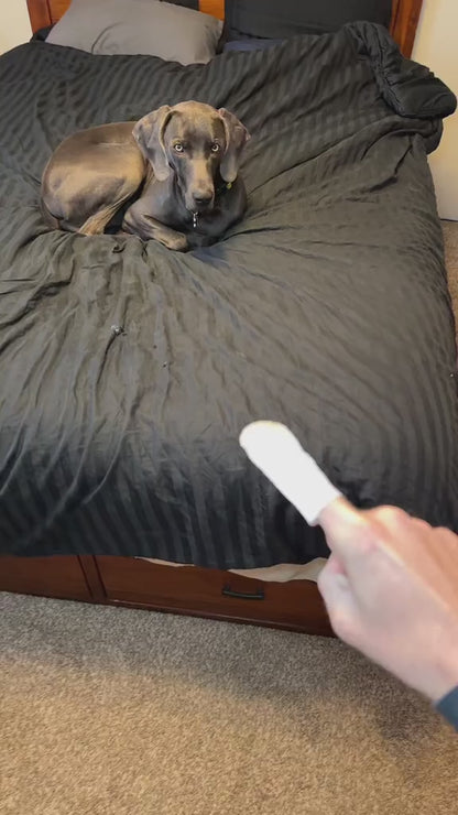 🔥🔥Natural Pet Dental Finger Wipes🦷
